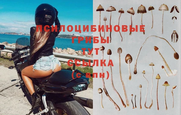 МДМА Карпинск
