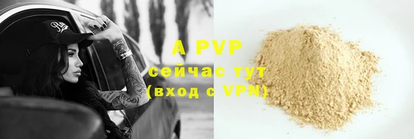 ГАЛЛЮЦИНОГЕННЫЕ ГРИБЫ Касимов