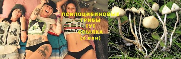 МДМА Карпинск