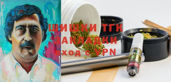 дмт Киреевск