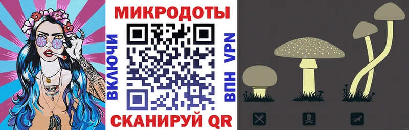 Псилоцибиновые грибы прущие грибы  Купить закладки  Талдом 